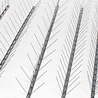 Stiff stainless steel bird deterrents